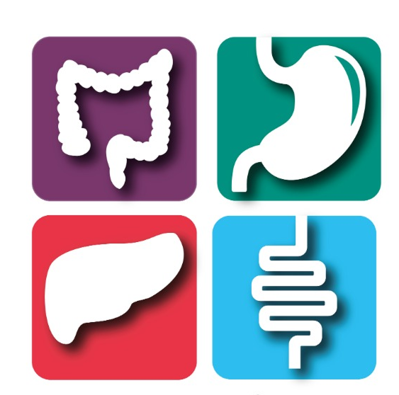 Gastroenterólogo y médico internista en CDMX